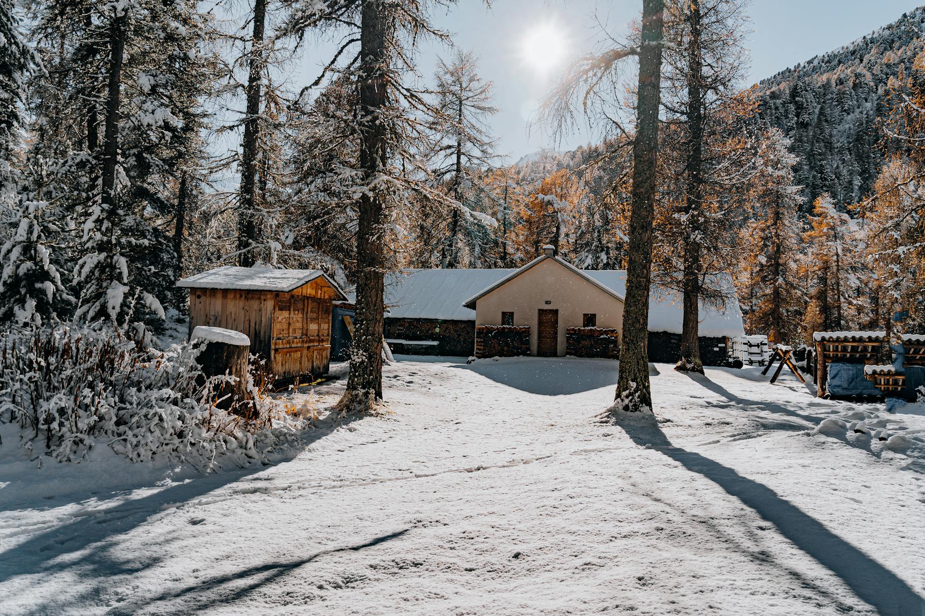 Drewniana chata w ośnieżonym lesie na tle gór w słoneczny dzień