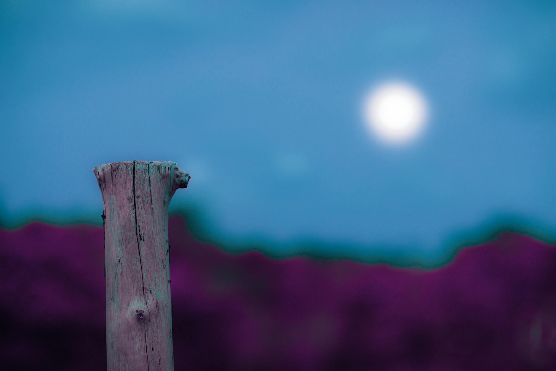 Drewniany słup na tle rozmytego nocnego nieba z jasnym księżycem