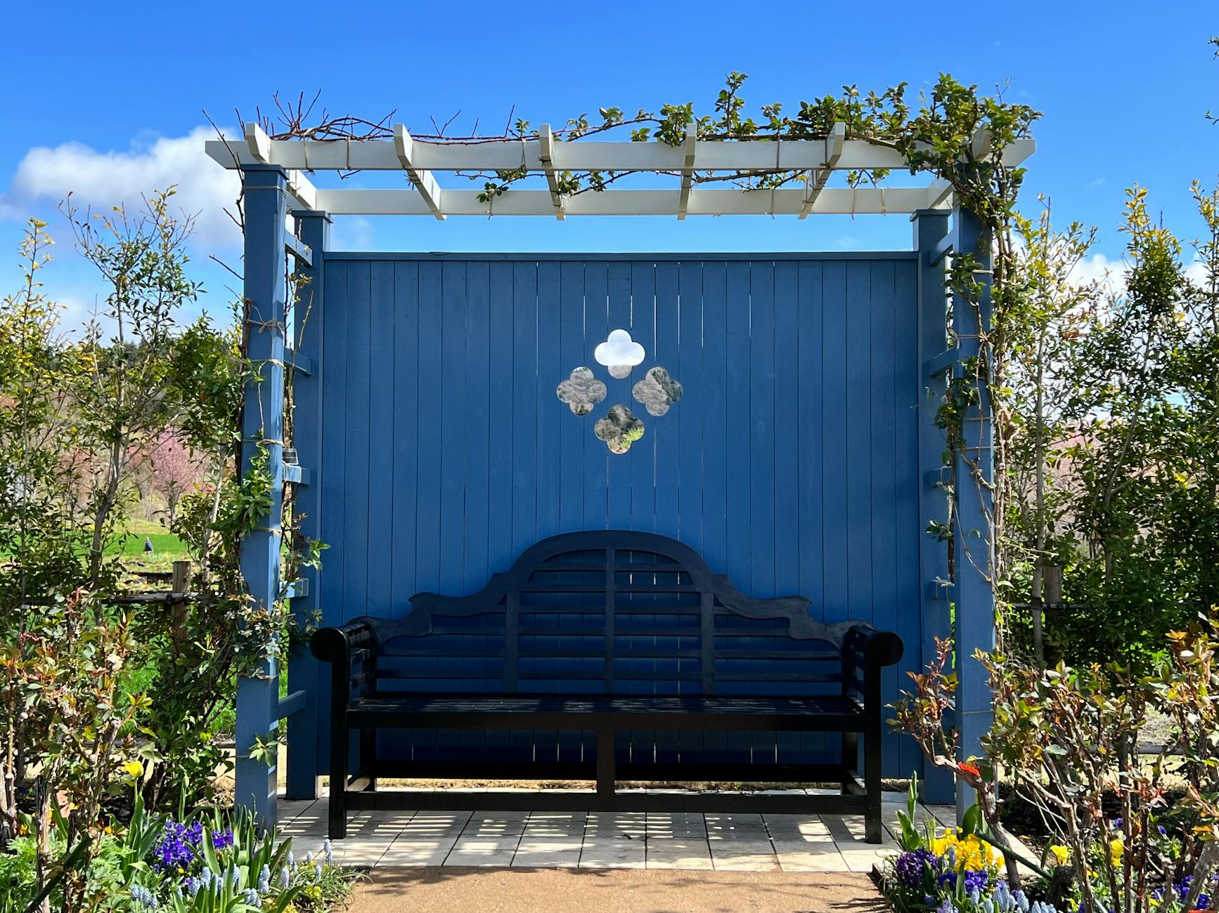 Ławka w cieniu kwitnącej pergoli w słonecznym, zielonym ogrodzie