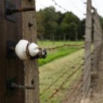 Warunki techniczne dla domów szkieletowych: izolacja, paroizolacja, wentylacja Zbliżenie izolatora na drucie kolczastym przy drewnianym słupku w polu