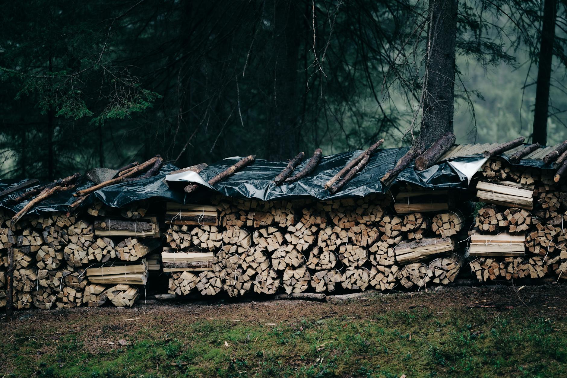 Jak zabezpieczyć drewno przed wodą opadową na etapie składowania i transportu z tartaku? Drewno kominkowe ułożone w lesie i zabezpieczone plandeką przed deszczem