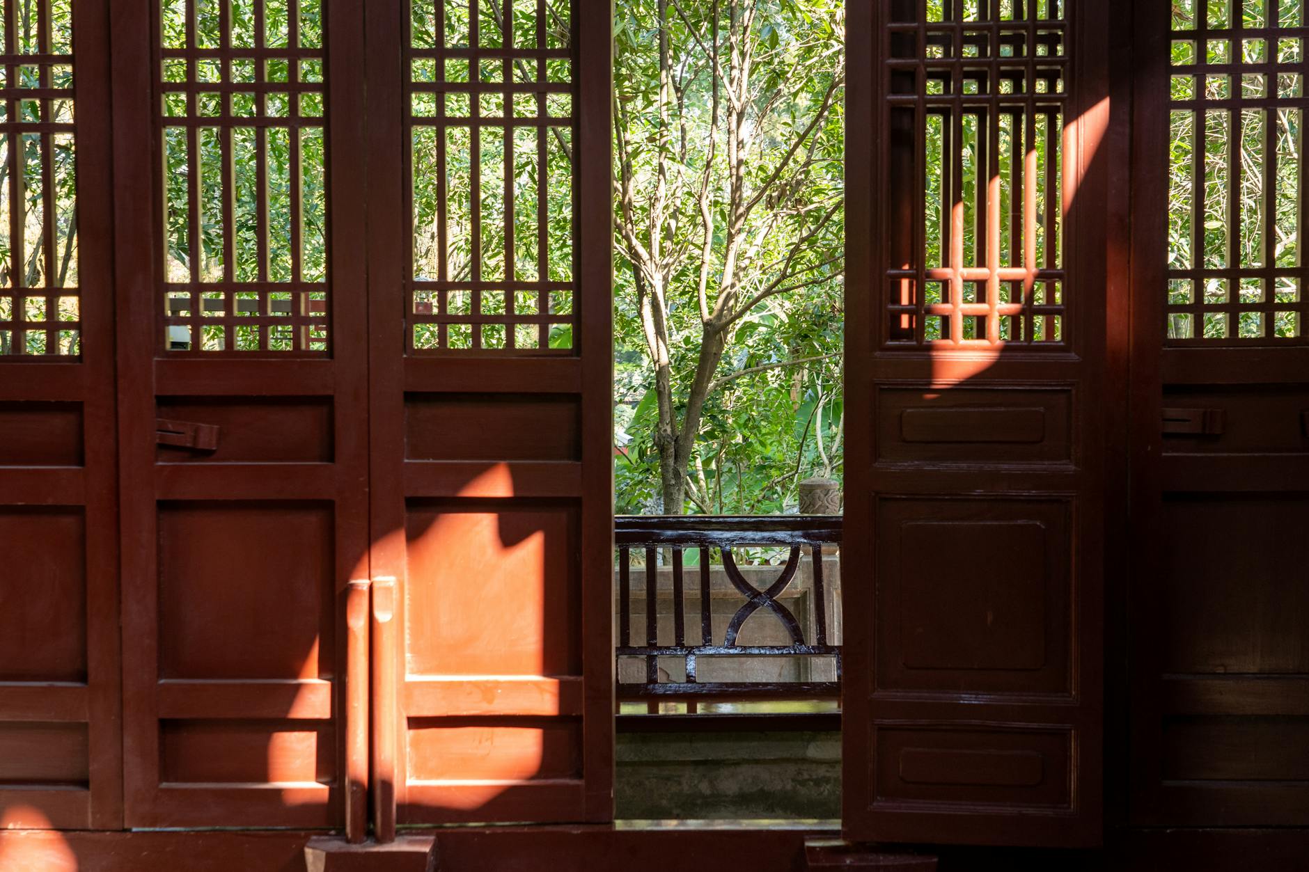 Promienie słońca przez drewniane drzwi i zielone drzewa na zewnątrz