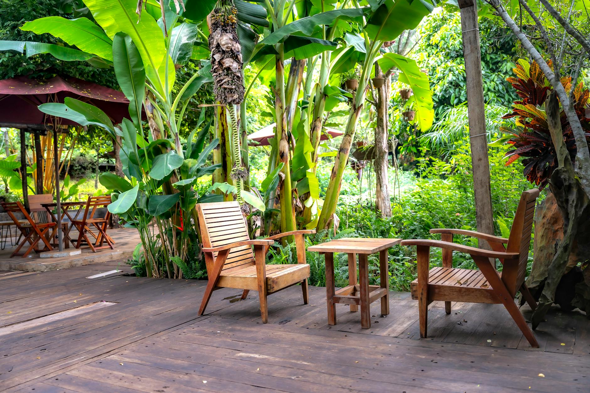Drewniany stół i krzesła w bujnym, egzotycznym ogrodzie