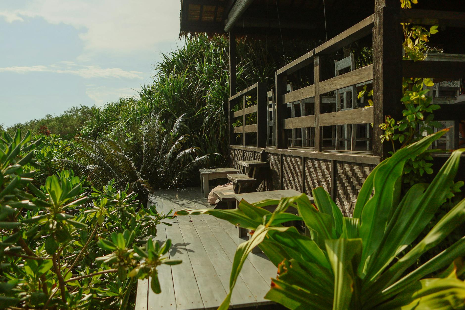 Taras z egzotycznego drewna otoczony bujną tropikalną roślinnością