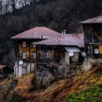 Sosna, świerk, modrzew: które gatunki wybierano w regionach i dlaczego Drewniane domy na wzgórzu w jesiennej scenerii lasu